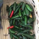 Foto de Chile serrano 1 kg