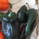 Foto de Chile poblano 1 kg
