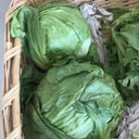 Foto de Lechuga romana pieza