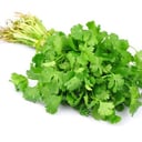 Foto de Cilantro manojo