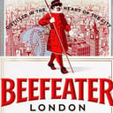 Foto de GIN BEFEETER