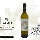 Foto de COPA VINO BLANCO VIÑAGAMO