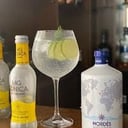 Foto de Vodka Tonic Tónica MG