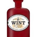 Foto de VODKA WINT