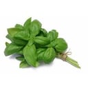Foto de Albahaca