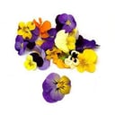Foto de Flores comestibles