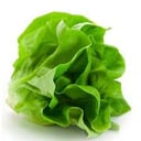 Foto de Lechuga mantecosa