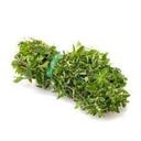Foto de Oregano