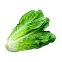 Foto de Lechuga criolla