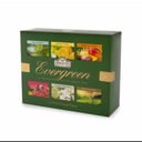Foto de Caja Variedades Evergreen (60 Sachets)