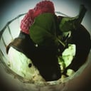 Foto de Pistacchio con Charlotte