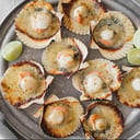Foto de OSTIONES A LA PARMESANA