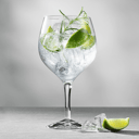 Foto de Gin Tonic (Limón)