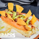Foto de perro mexicano 