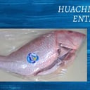 Foto de HUACHINANGO ENTERO LIMPIO