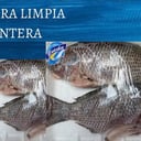 Foto de MOJARRA ENTERA Y LIMPIA 