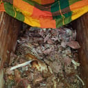 Foto de 1/2 Kilogramo