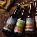 Foto de CERVEZA ARTESANAL SIERRA DE ALICA