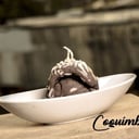 Foto de COQUIMBO