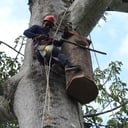 Foto de PROYECTO DE CONSERVACION