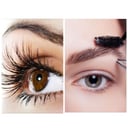 Foto de Promoción 6