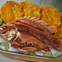Foto de Especiales