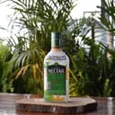 Foto de NECTAR CLUB MEDIA