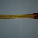 Foto de Varita pajarera