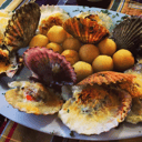 Foto de Vieiras Gratinadas