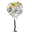 Foto de Gin Importado con Tonica