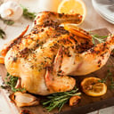 Foto de Pollo de Campo