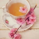 Foto de Té de flor de cerezo 
