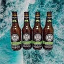 Foto de TOTO BEER NEGRA