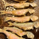 Foto de SALMONETES