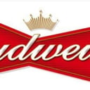 Foto de Budweiser 269ml