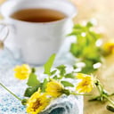 Foto de INFUSIONES
