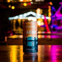 Foto de Patagonia Hoppy Lager Lata 269 cm3