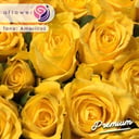 Foto de Amarillo