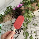 Foto de Paleta Vegana Frutilla