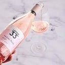 Foto de Latitud 33 Malbec Rose