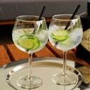 Foto de Gin and Tonic Hendricks