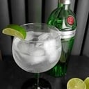 Foto de Gin and Tonic Tanqueray