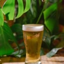 Foto de Chopp Heineken / Imperial
