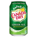 Foto de Ginger Ale 354ml