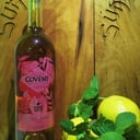 Foto de Gin Tonic Covent
