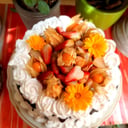 Foto de Torta Suculenta