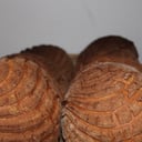 Foto de Concha de chocolate 