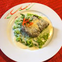 Foto de FILETE EN SALSA DE PISCO.