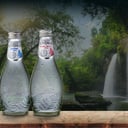 Foto de AGUA MINERAL CON GAS O SIN GAS 