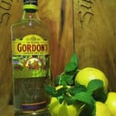 Foto de Gin Tonic Gordon´s